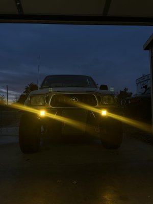 IMG_8271.jpeg
