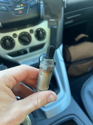 1709746996967.webp 1709746996967.webp