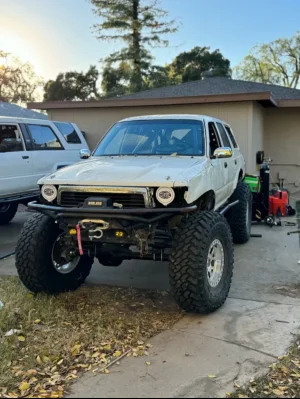 IMG_2598.jpeg IMG_2598.jpeg