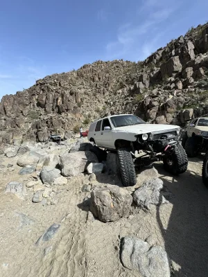 IMG_2575.webp IMG_2575.webp