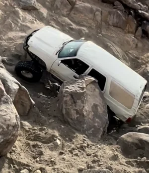 IMG_2346.webp IMG_2346.webp