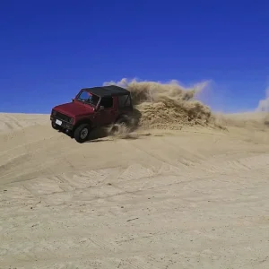 IMG_20220423_165049_810.webp IMG_20220423_165049_810.webp