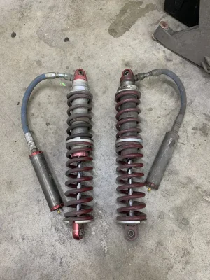 IMG_9655.jpeg IMG_9655.jpeg