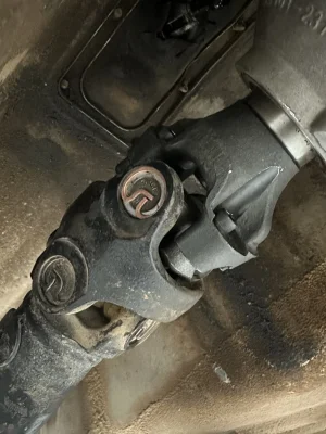 IMG_9787.webp IMG_9787.webp