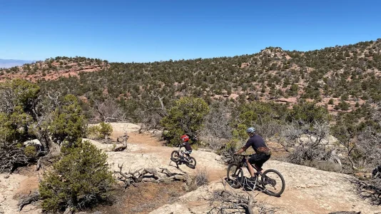 1712785904356.png 1712785904356.png