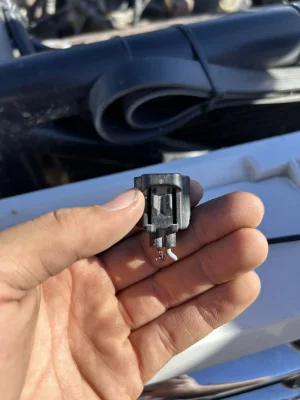 IMG_4817.jpeg IMG_4817.jpeg