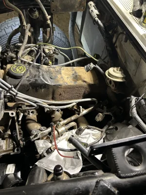 IMG_4835.jpeg IMG_4835.jpeg