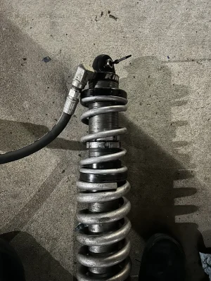 IMG_4964.webp IMG_4964.webp