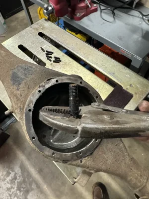 IMG_2703.webp IMG_2703.webp