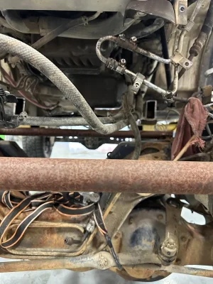 IMG_9898.jpeg IMG_9898.jpeg