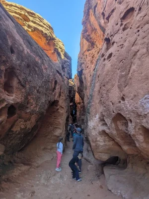 1713896760864.png 1713896760864.png