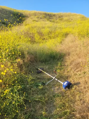 1000015711.jpg 1000015711.jpg