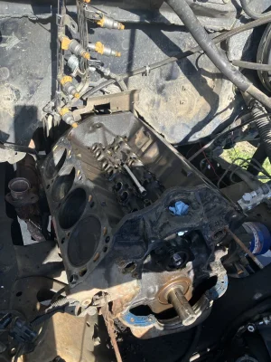 IMG_1044.webp IMG_1044.webp