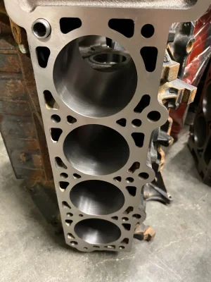 IMG_8116.webp IMG_8116.webp