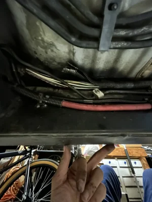 IMG_2577.jpeg IMG_2577.jpeg