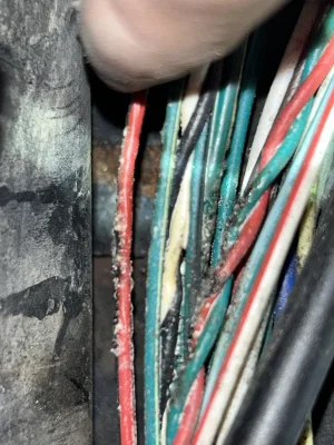 IMG_2574.webp IMG_2574.webp