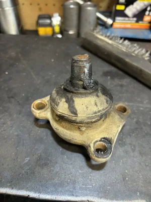 IMG_8046.webp IMG_8046.webp