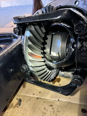 IMG_8435.webp IMG_8435.webp