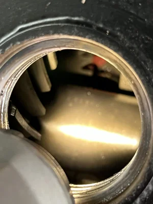 IMG_2537.webp IMG_2537.webp