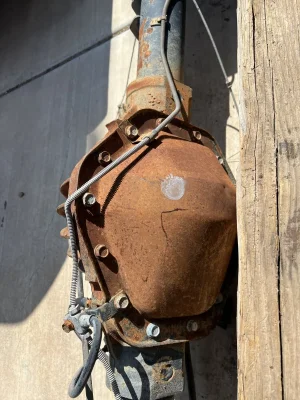 IMG_2517.jpeg IMG_2517.jpeg