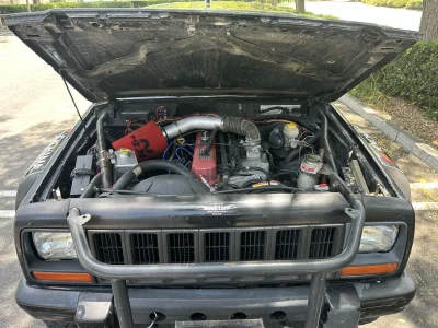 IMG_5870.jpeg IMG_5870.jpeg