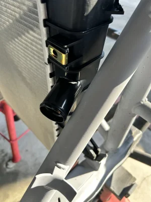 IMG_6725.jpeg IMG_6725.jpeg