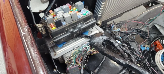 Selected photo (4).webp