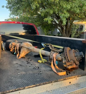 IMG_3650.webp IMG_3650.webp