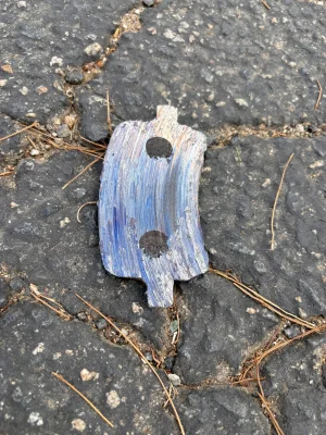 IMG_9178.JPG IMG_9178.JPG