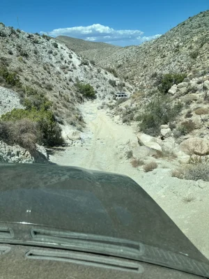 IMG_6600.webp IMG_6600.webp