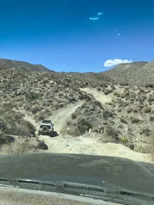 IMG_6603.webp IMG_6603.webp