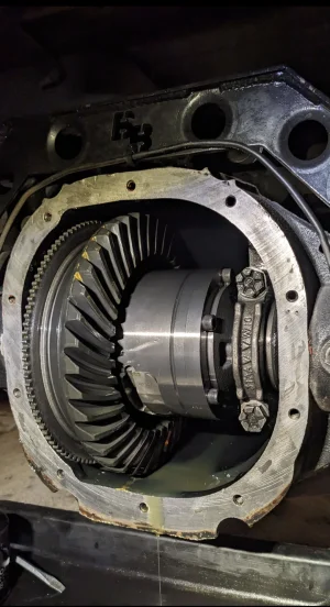 1000122187.webp 1000122187.webp