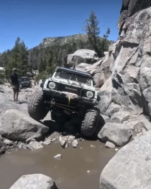 IMG_0336.webp IMG_0336.webp