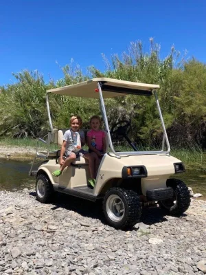 golfcart2.webp