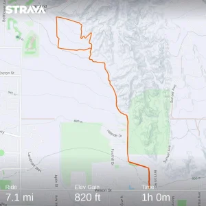 1662732324621.webp 1662732324621.webp