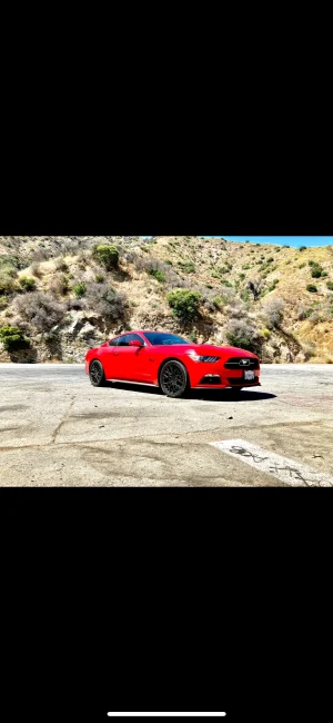 IMG_0549.webp IMG_0549.webp