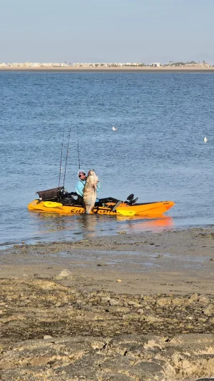 WhatsApp Image 2024-12-23 at 5.02.51 PM (1).webp