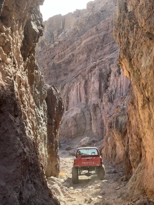 IMG_3755.webp IMG_3755.webp