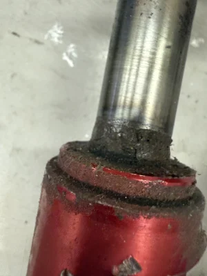 IMG_9168.webp IMG_9168.webp