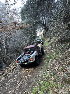 IMG_0438.jpeg IMG_0438.jpeg