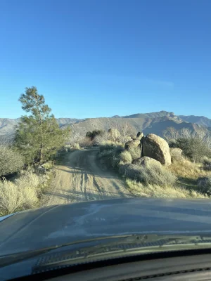 IMG_0463.jpeg IMG_0463.jpeg