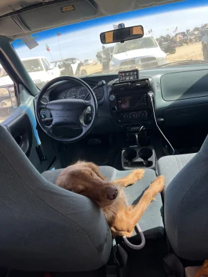 IMG_0943.webp IMG_0943.webp