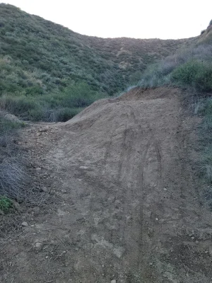 1000021387.jpg 1000021387.jpg