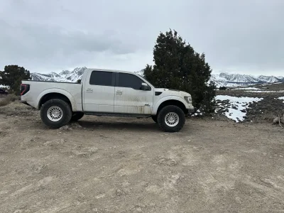 IMG_7731.webp IMG_7731.webp