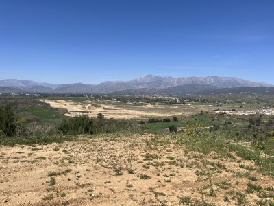 IMG_1967.jpeg