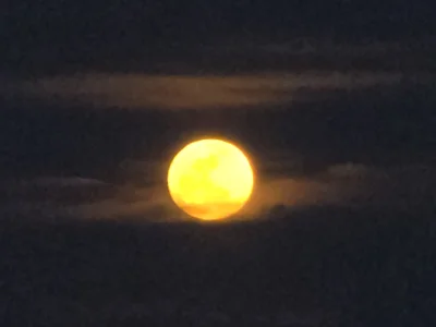 1000007724.jpg 1000007724.jpg