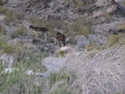 1000007756.jpg 1000007756.jpg