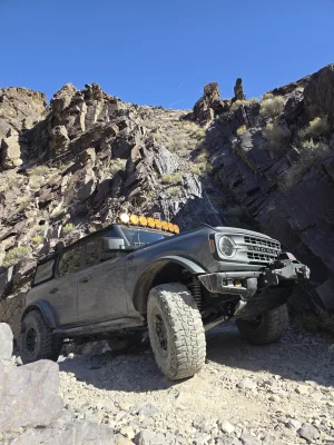 1000007818.jpg 1000007818.jpg