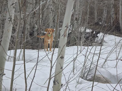 1000008231.webp 1000008231.webp