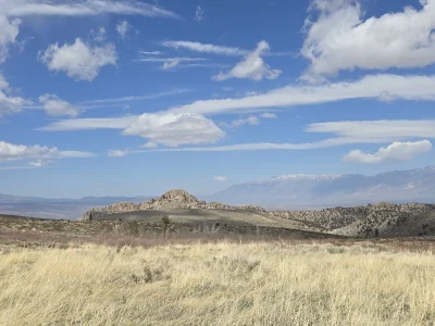 1000008236.webp 1000008236.webp